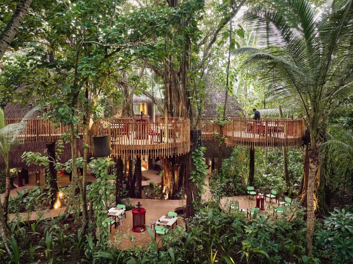 Niyama Private Islands tropical forest