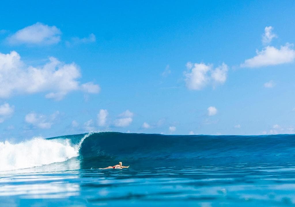 Niyama surfing experience